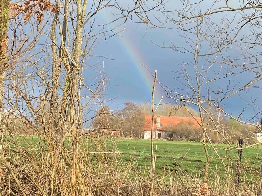 Ferienwohnung Kompass Nahe Der Ostsee Im Gruenen Bad Doberan Exteriér fotografie